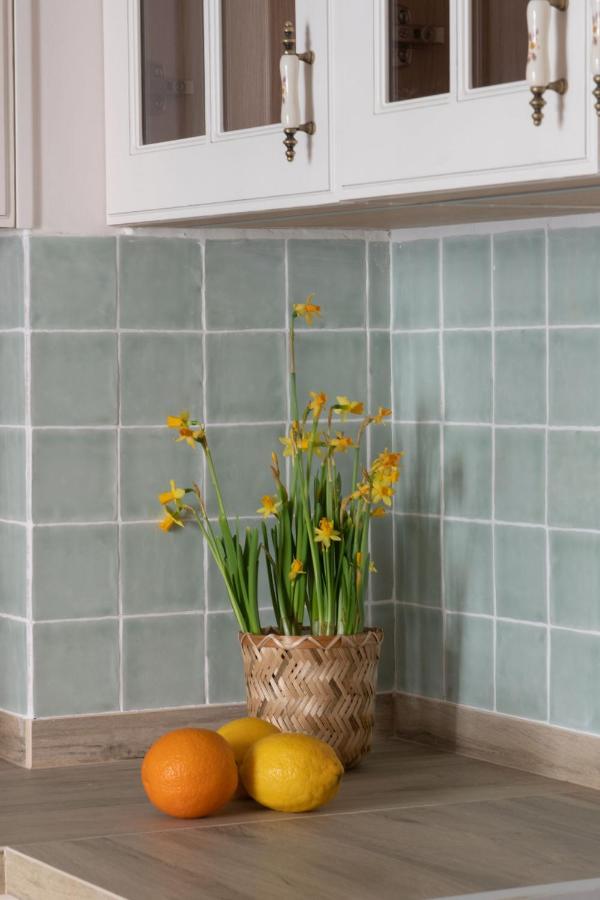 Hommyhome Sevilla Natural Passivhaus 외부 사진
